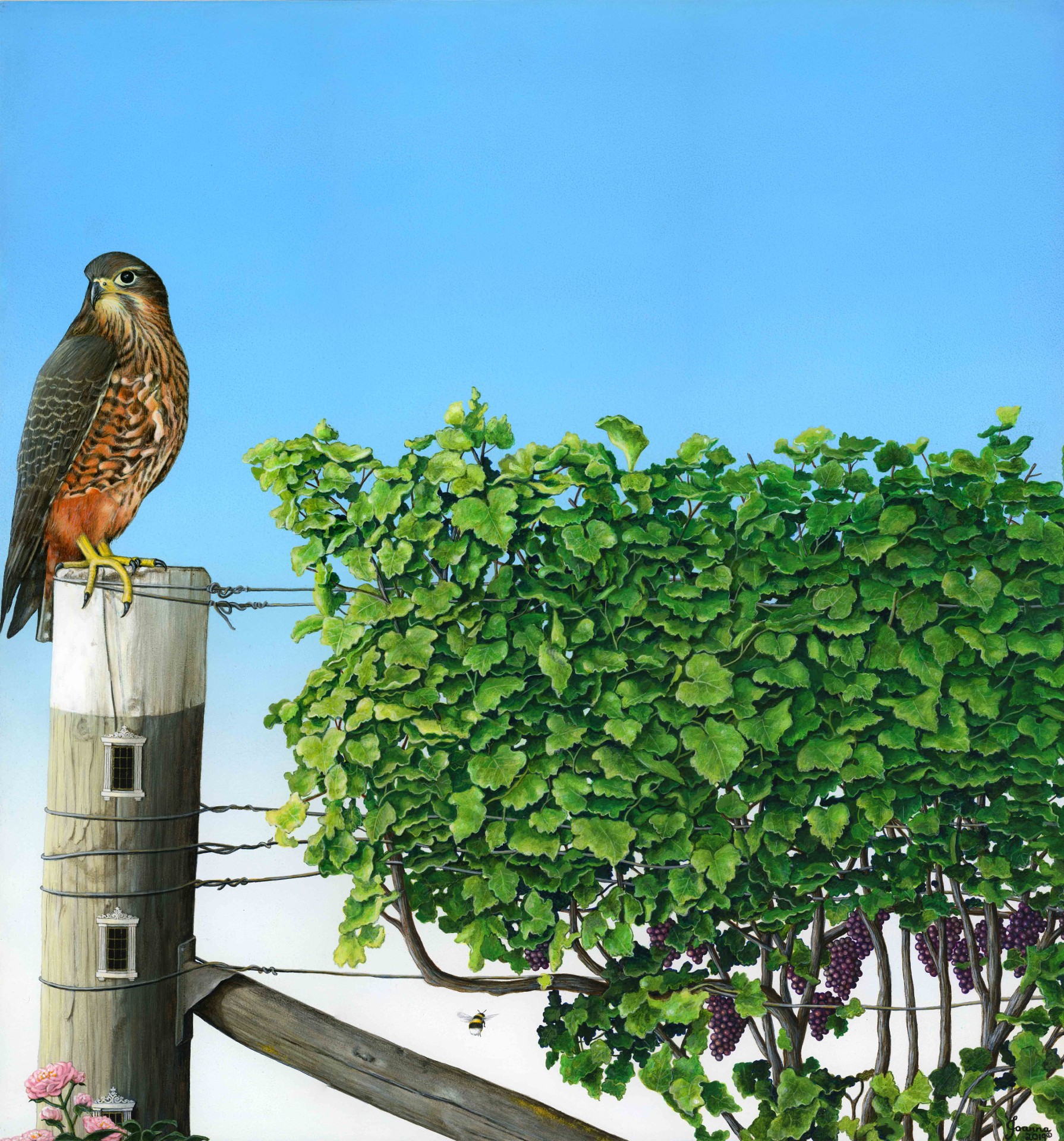A WATCHFUL EYE OPEN EDITION PRINT Small 270x250mm