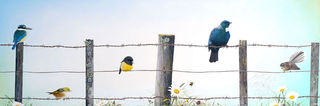 DOWN TO THE WIRE CANVAS PRINT 750mmx240mm