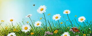 A CHEERFUL CHANGE CANVAS PRINT 750x295mm